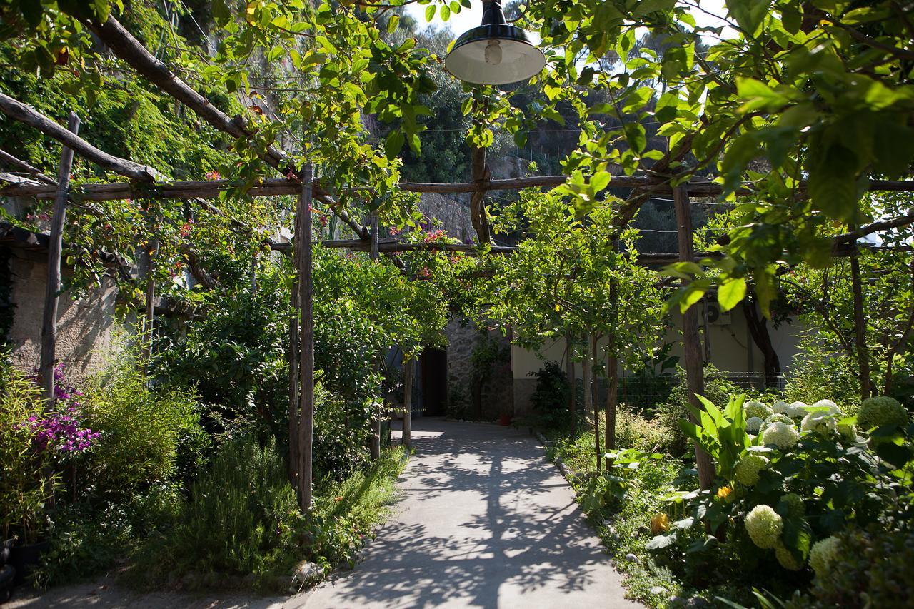 Hotel Pupetto Positano Zewnętrze zdjęcie